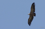 20130515184653-b1f34cd4