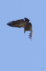 20130515184658-e75fb207