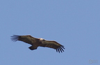 20130515184711-6ecb73f7