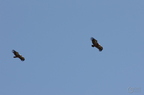 20130515184716-a9f01621