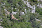 20130515184726-eb67c874