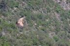 20130515184731-f8b1bb2f