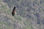 20130515184738-9942cacf