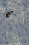 20130515184743-f3ed0c14
