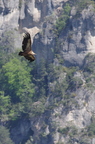 20130515184748-0bb5108e
