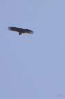 20130515184801-774cd698