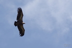 20130515184812-b440b02a