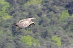 20130515184816-6e70c9a8