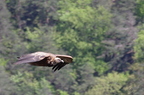 20130515184821-65d47420