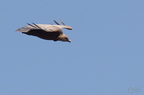 20130515184825-af53f557