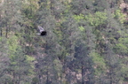 20130515184829-b359c752