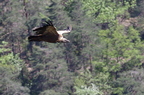20130515184834-fe975bcc