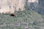 20130515184942-a43aadb0