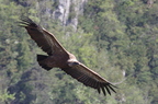 20130515184952-86f552cf