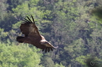 20130515184958-2dbe3d74