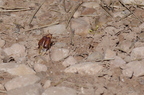 20130515185015-28b11ad5