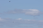 20130515185019-2bce5afe