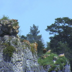 20130515233929-cd47288b