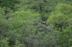 20130516150944-c621f792