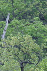 20130516150951-cb55d9ff