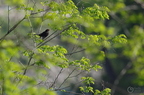 20130516150959-03862f70