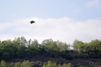 20130516151013-f26ec763