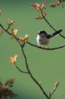20130516151023-4720c1cb