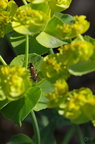 20130516151044-4405589f