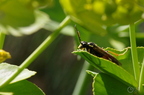 20130516151048-dab84a89