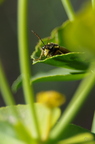 20130516151053-b2352d7a