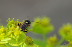 20130516151057-618d6d57