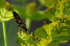 20130516151102-e24064bd