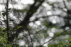 20130516151111-b773f489