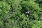 20130516151129-052f6472