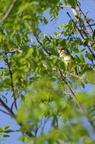 20130516151204-924789f7