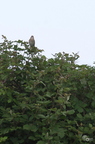 20130520234421-7d908ac8
