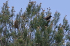 20130520234438-9ed2fc6a