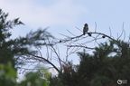 20130520234439-aaf8276f