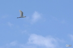 20130520234440-723db452