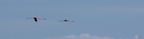 20130520234442-3da16459