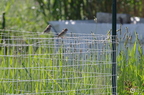 20130520234446-766e01ac