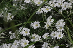 20130520234452-99fd12d3
