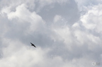 20130520234454-c9301bd1