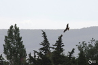20130520234505-b5c31d46
