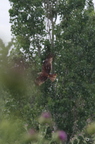 20130520234506-4d7f2b58