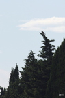 20130520234508-a97dd654