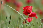 20130520234513-843707ad