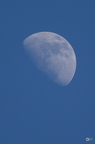20130520234529-b164088c