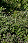20130520234531-3f29f36e
