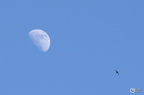 20130520234540-90458e87